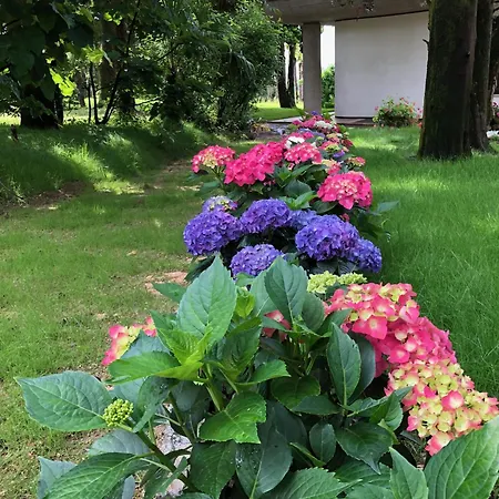 Appartamento Andrea *