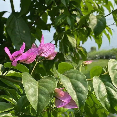 Andrea Appartamento *