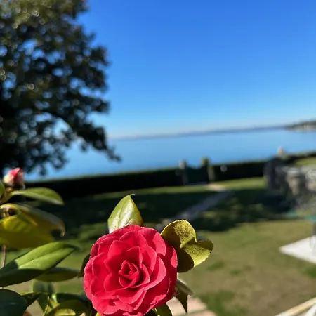 Apartment Andrea Garda (Verona)
