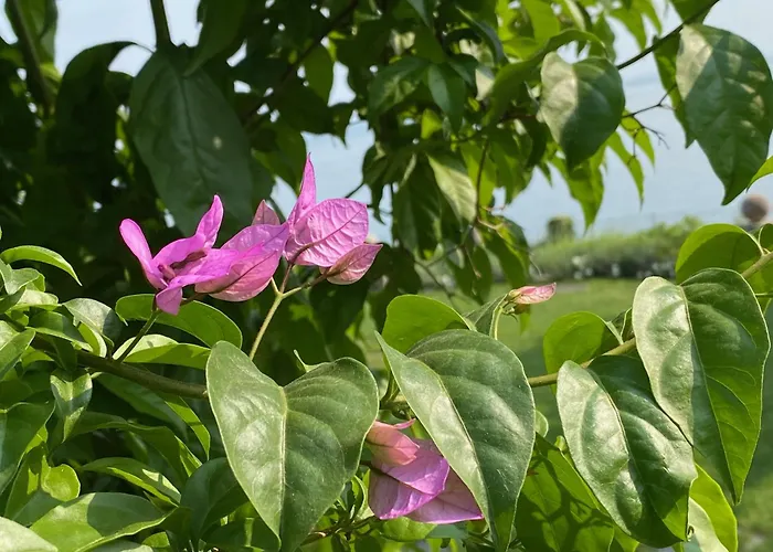 Andrea Appartamento *